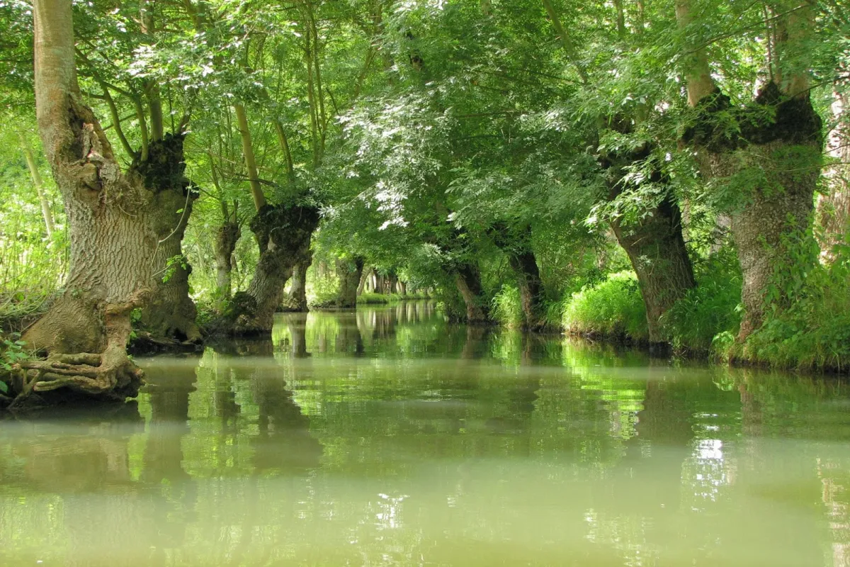 House of the Marais Poitevin image