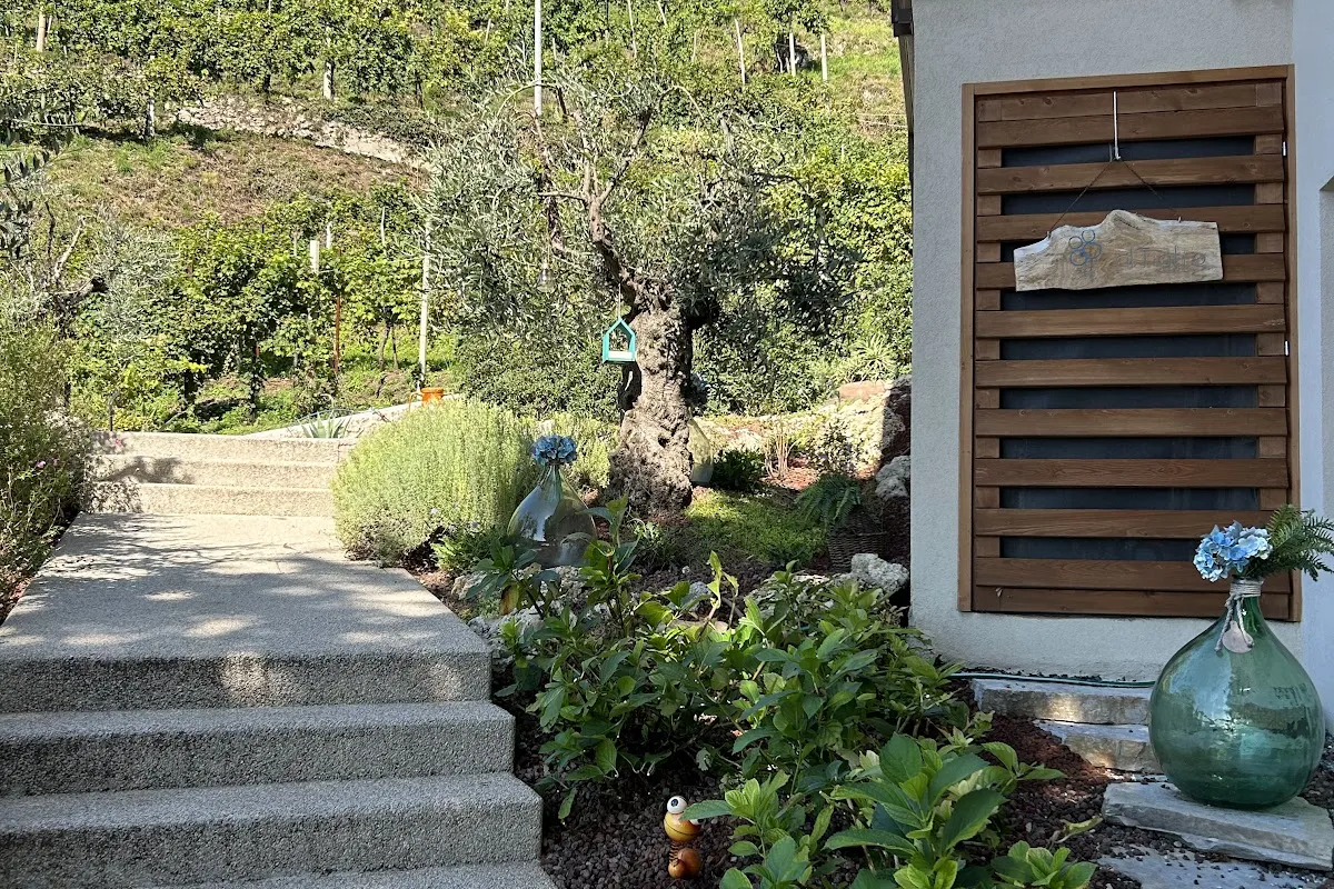 AL TIGLIO image