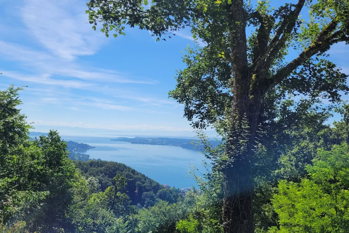 Haldenhof Viewpoint image